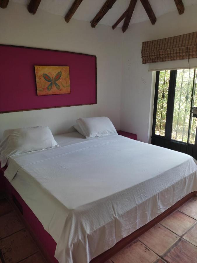 Hotel Campestre Arboretto ビリャビセンシオ エクステリア 写真