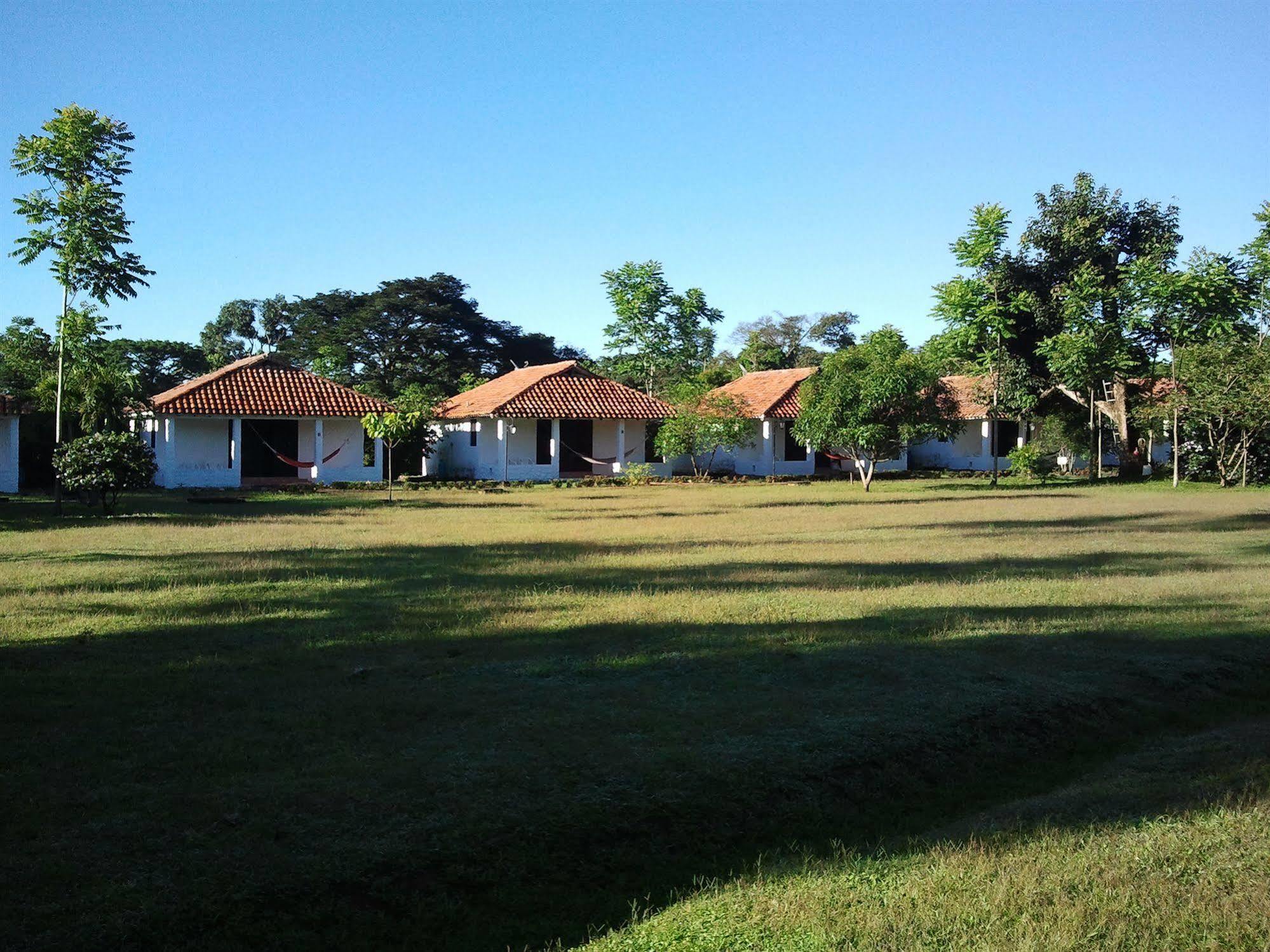 Hotel Campestre Arboretto ビリャビセンシオ エクステリア 写真