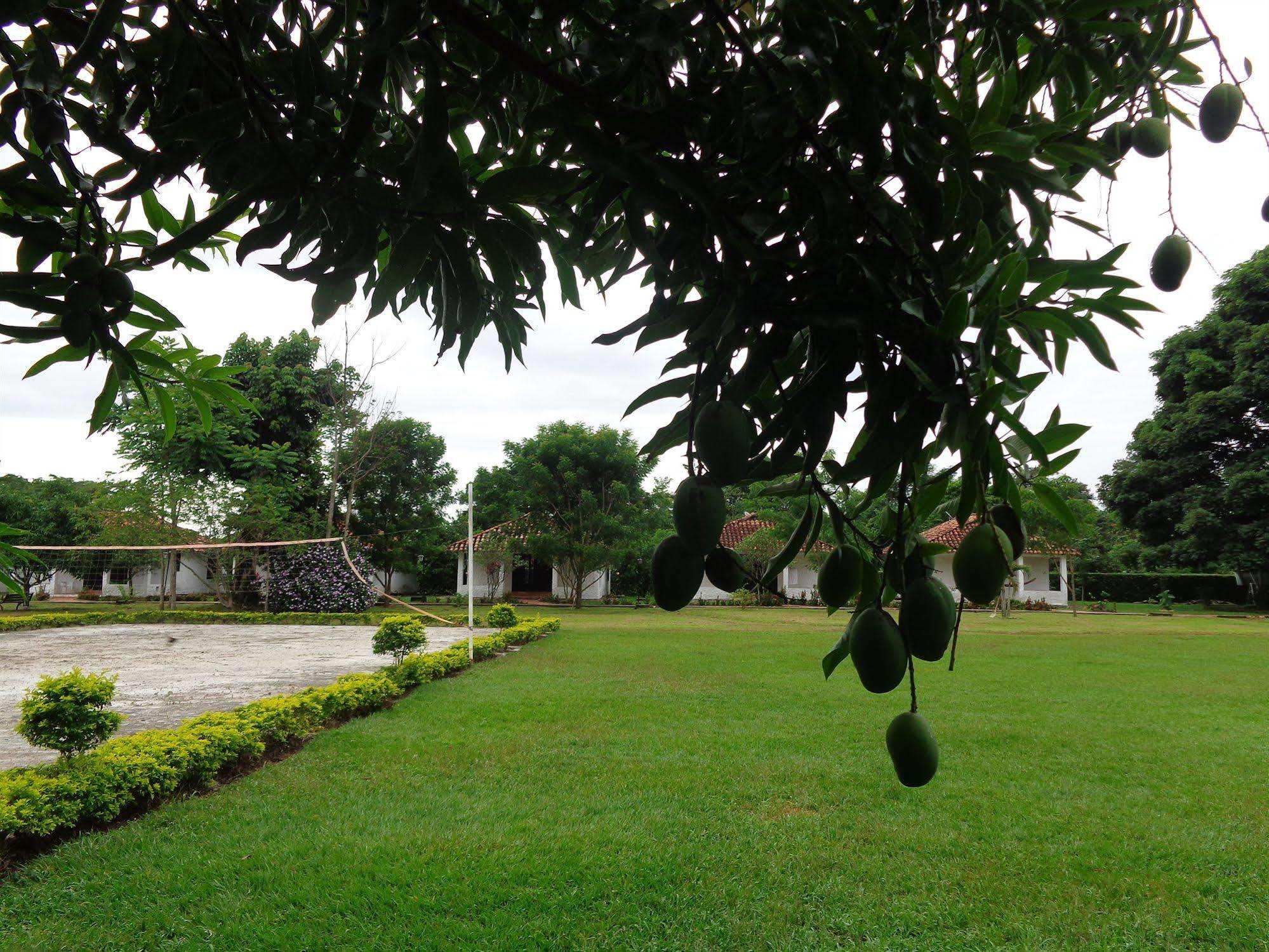 Hotel Campestre Arboretto ビリャビセンシオ エクステリア 写真