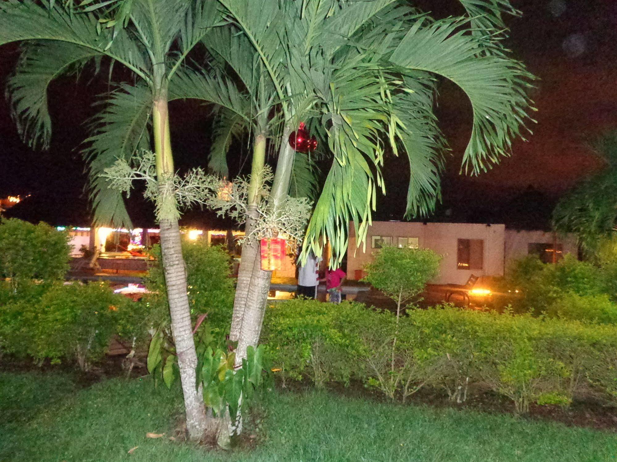 Hotel Campestre Arboretto ビリャビセンシオ エクステリア 写真