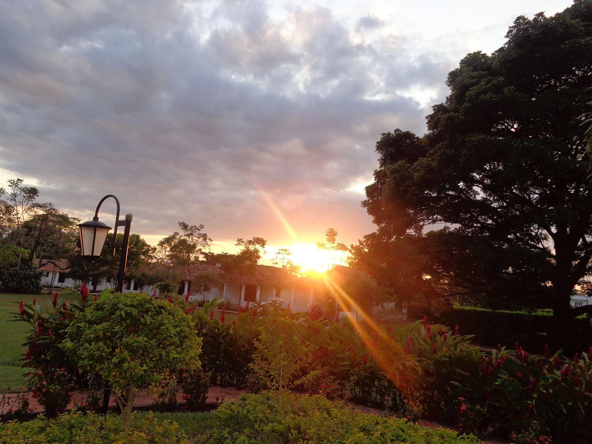 Hotel Campestre Arboretto ビリャビセンシオ エクステリア 写真