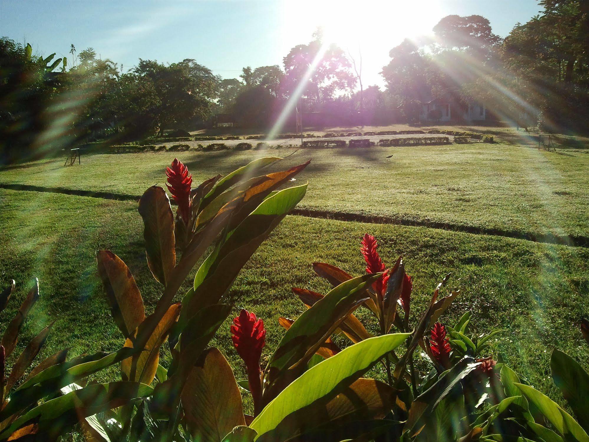 Hotel Campestre Arboretto ビリャビセンシオ エクステリア 写真
