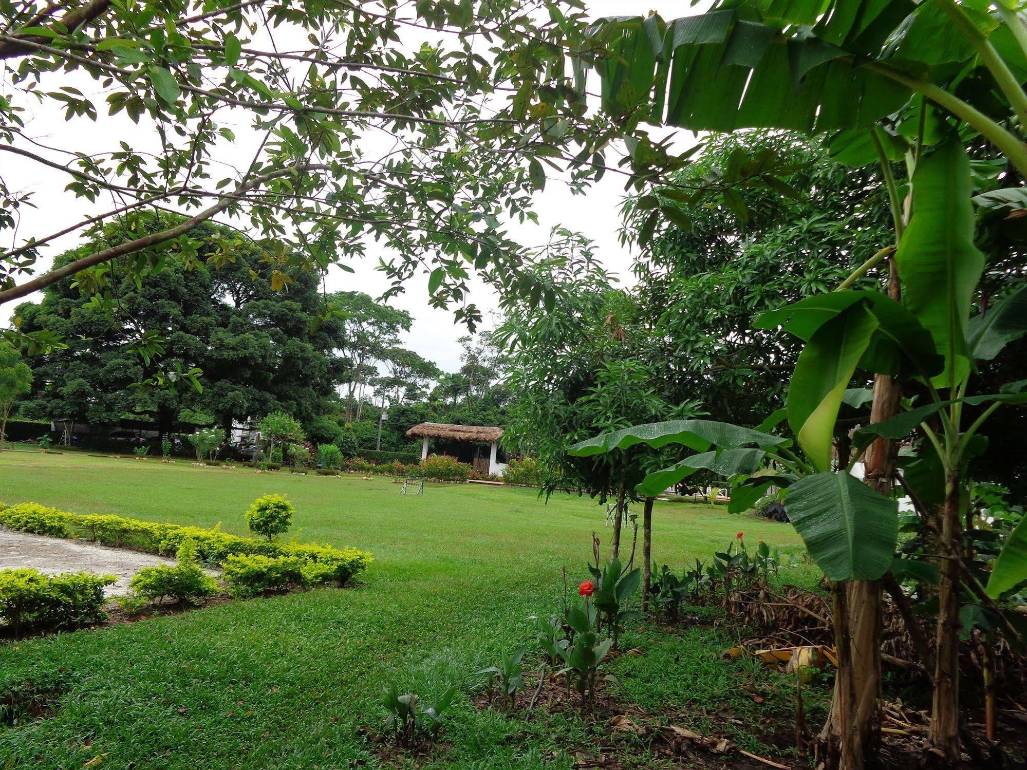 Hotel Campestre Arboretto ビリャビセンシオ エクステリア 写真