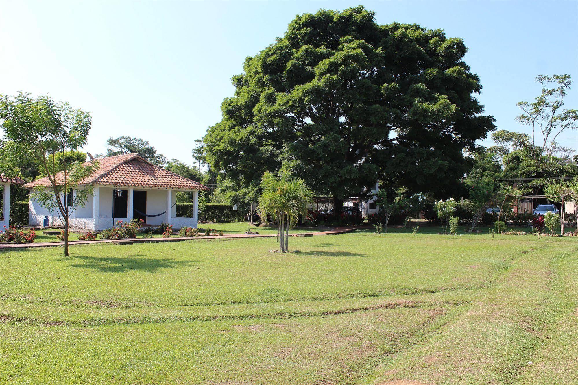 Hotel Campestre Arboretto ビリャビセンシオ エクステリア 写真
