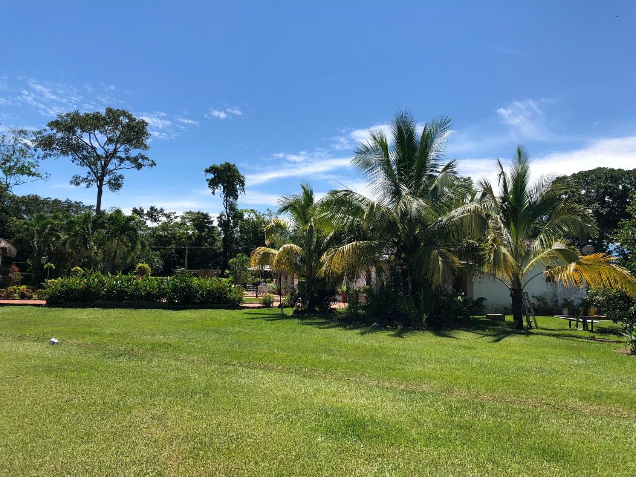 Hotel Campestre Arboretto ビリャビセンシオ エクステリア 写真