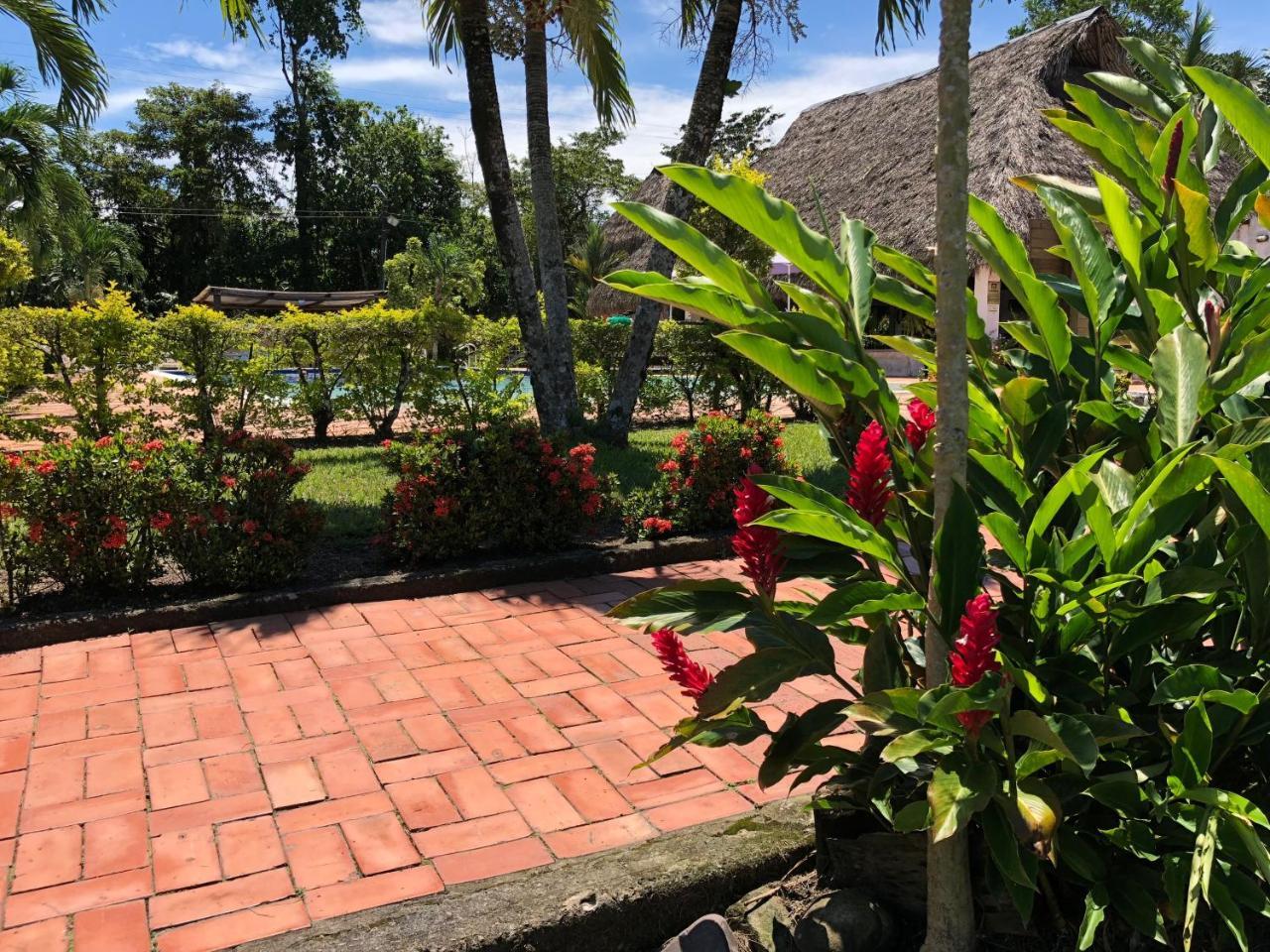 Hotel Campestre Arboretto ビリャビセンシオ エクステリア 写真