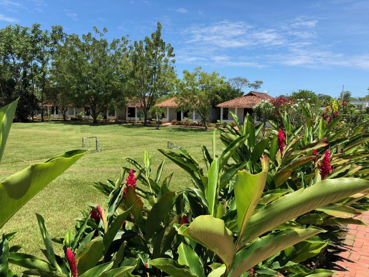 Hotel Campestre Arboretto ビリャビセンシオ エクステリア 写真