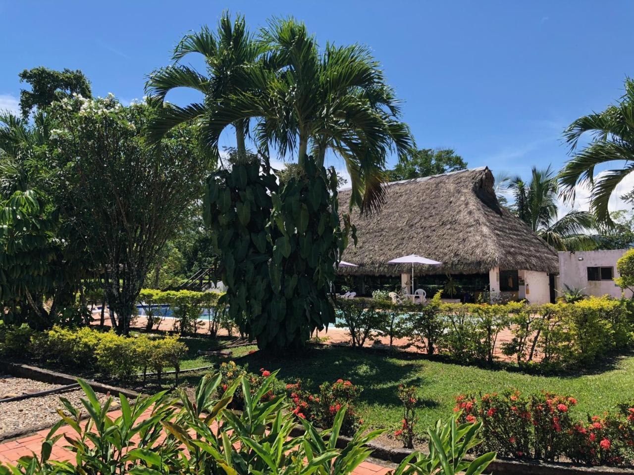 Hotel Campestre Arboretto ビリャビセンシオ エクステリア 写真