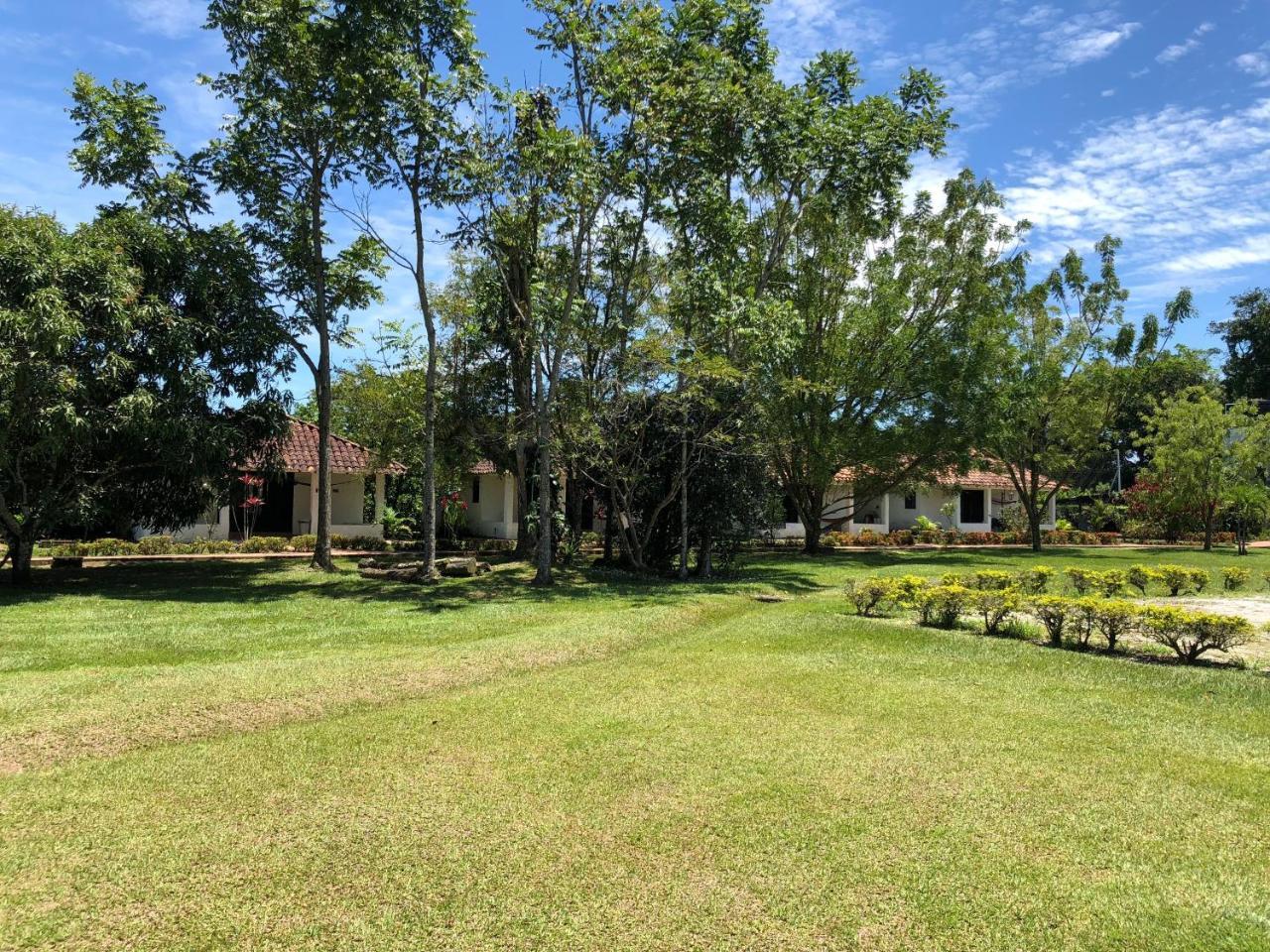 Hotel Campestre Arboretto ビリャビセンシオ エクステリア 写真
