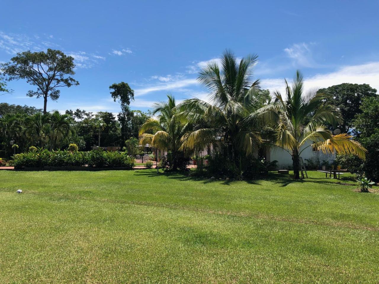 Hotel Campestre Arboretto ビリャビセンシオ エクステリア 写真