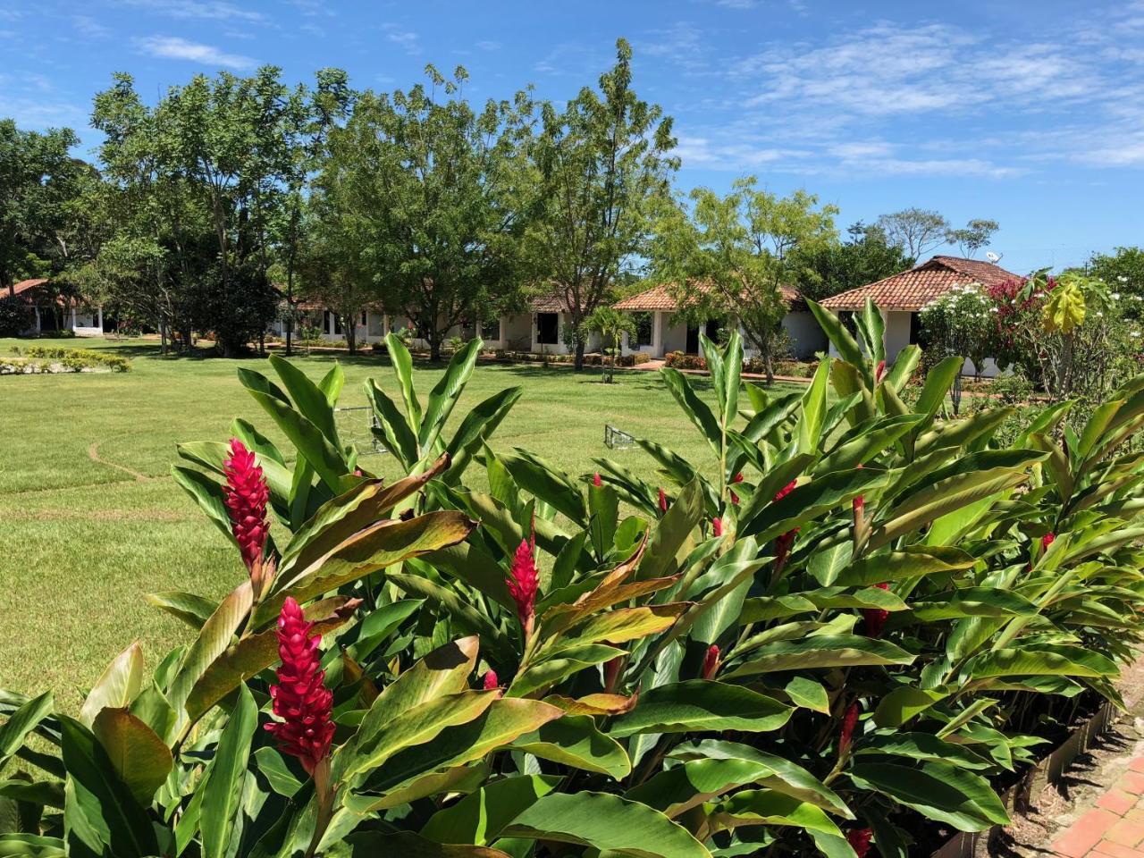 Hotel Campestre Arboretto ビリャビセンシオ エクステリア 写真